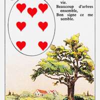 5. l'Arbre